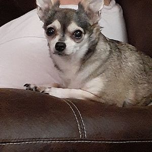 Meet your Posher, Karen